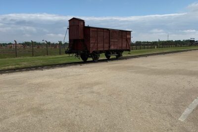 1 Day Trip Auschwitz-Birkenau Memorial and Museum Guided Tour from Krakow - Shared minivan transfer: comfort, time, and why it matters