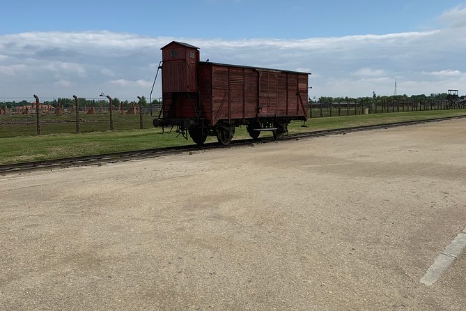 1 Day Trip Auschwitz-Birkenau Memorial and Museum Guided Tour from Krakow - Shared minivan transfer: comfort, time, and why it matters