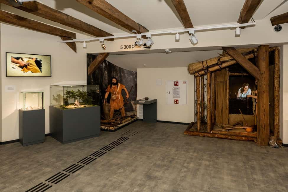 Archaeological Museum of Krakow Entrance Ticket - The Lesser Poland treasures beyond the headline