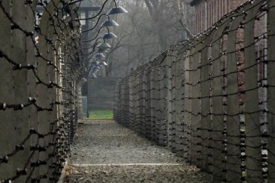 Auschwitz and Birkenau Guided Tour from Krakow - Birkenau’s layout: seeing scale with clarity, not confusion