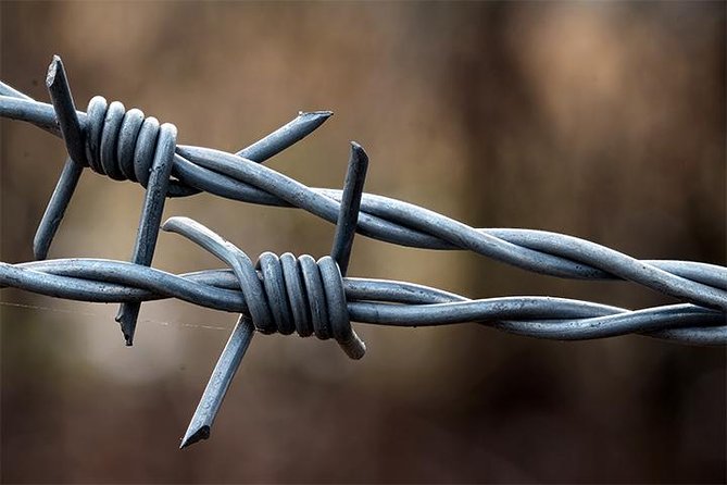Auschwitz and Birkenau Tour - Hotel Pickup, Minivan Comfort, and the Real Logistics