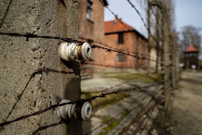 Auschwitz and Birkenau Tour - Tickets, Headsets, and Why the Guide Matters Here