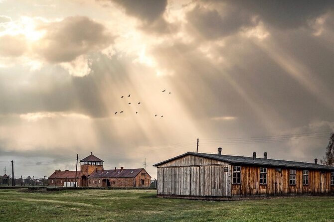 Auschwitz and Birkenau WITHOUT GUIDE private transport from Kraków - Key things to know before you go