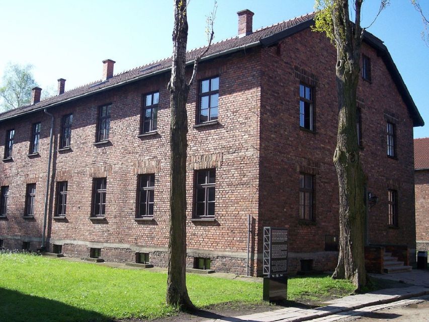 Auschwitz-Birkenau and Krakow Private Car Trip from Katowice - What could feel challenging (and who should consider this carefully)
