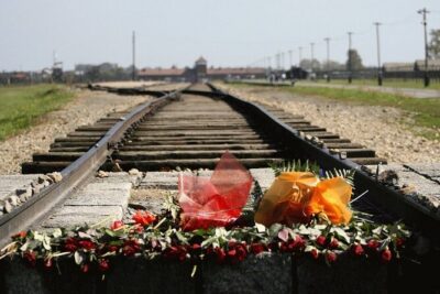 Auschwitz-Birkenau and Salt Mine Tour with private transport from Krakow - Hotel Pickup and Private Transport: Why It’s the Real Convenience