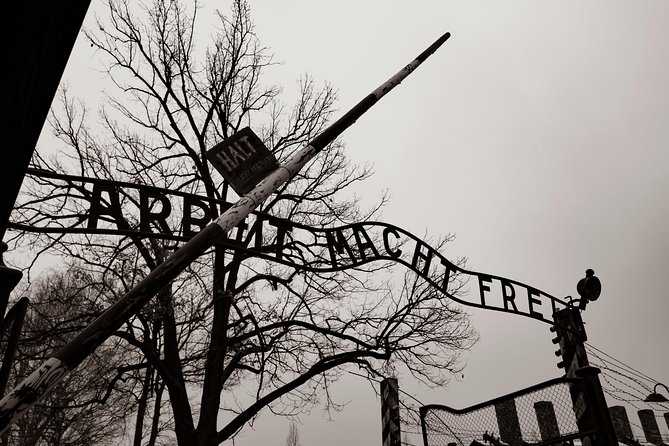 Auschwitz-Birkenau and Wieliczka Salt Mine Day Tour from Krakow with private car - Key highlights worth your attention