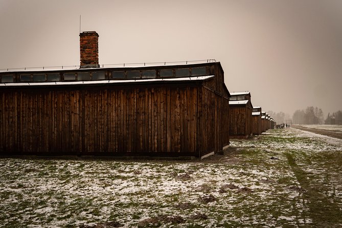 Auschwitz-Birkenau and Wieliczka Salt Mine Day Tour from Krakow with private car - A private-car day that actually saves you time
