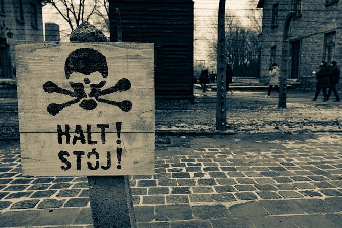 Auschwitz-Birkenau and Wieliczka Salt Mine Day Tour from Krakow with private car - Price and logistics: what you’re paying for (and what you’re not)
