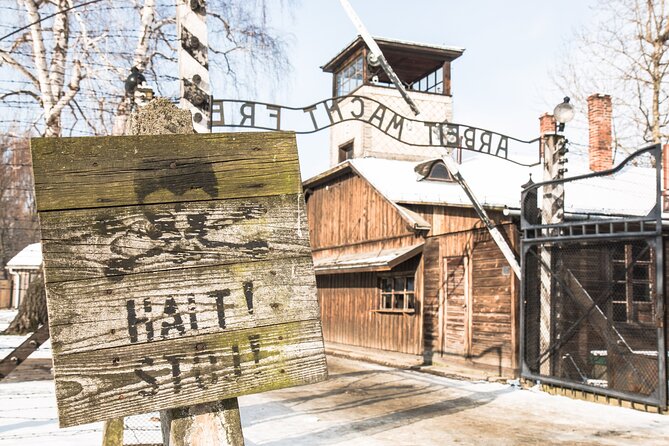 Auschwitz-Birkenau and Wieliczka Salt Mine Full Day Tour - The full-day timetable: why the day can feel rushed