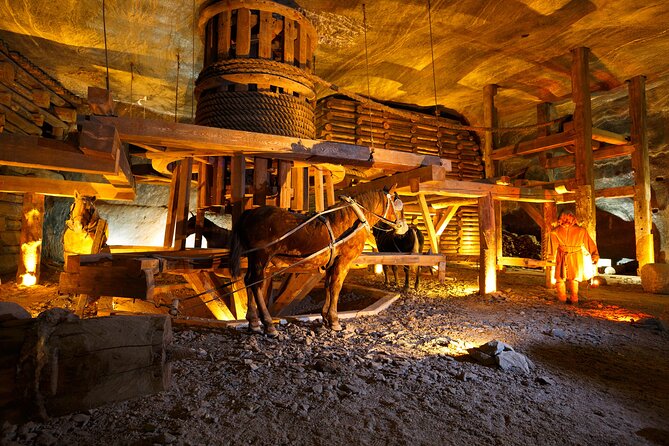 Auschwitz-Birkenau and Wieliczka Salt Mine Full Day Tour - Who this tour fits best (and who should rethink it)