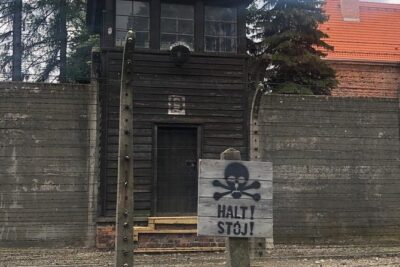 Auschwitz-Birkenau and Wieliczka Salt Mine Museum Guided Tour from Krakow - Pickup and the shared minibus reality in Krakow