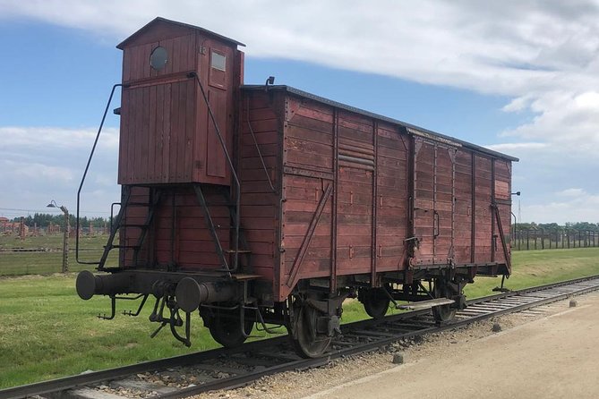 Auschwitz-Birkenau and Wieliczka Salt Mine Museum Guided Tour from Krakow - Price and value: what $111.26 really covers