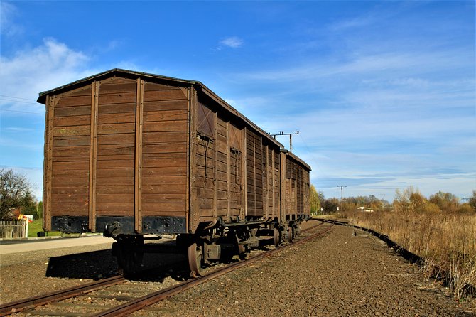 Auschwitz & Birkenau English guided tour by private transport from Katowice - Door-to-door transport from Katowice: less stress, more time on site
