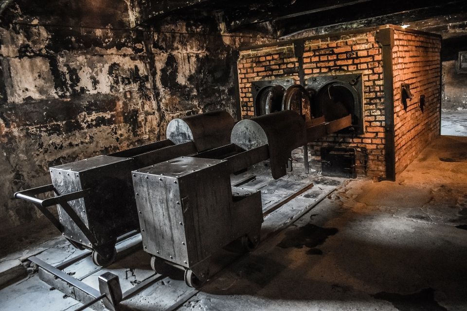 Auschwitz-Birkenau: Entrance Ticket and Live Tour Guide - Price and what you get for $47
