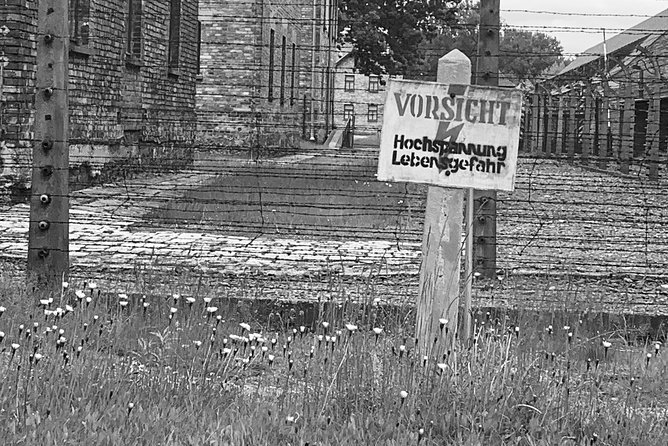 Auschwitz-Birkenau guided tour from Krakow - private car - Auschwitz II-Birkenau: the scale that changes how you see everything