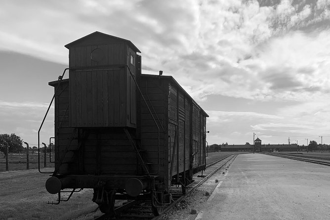 Auschwitz-Birkenau guided tour from Krakow - private car - Drivers you might get, and what the reviews signal