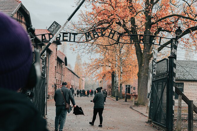 Auschwitz Birkenau guided tour from Krakow private chauffeur - Brzezinka (Birkenau): barracks, crematoria, gas chambers, and the ramp