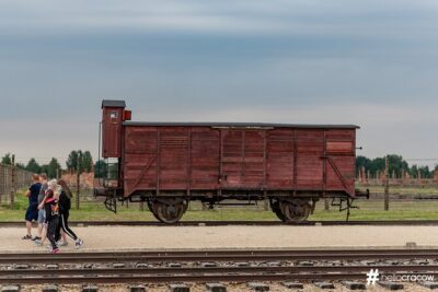 Auschwitz & Birkenau Guided Tour with Hotel Pickup from Krakow - Hotel Pickup From Krakow: The Part You Really Notice