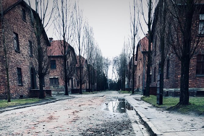 Auschwitz-Birkenau Guided Tour with Private Transport from Kraków - Key highlights at a glance