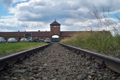 Auschwitz-Birkenau last minute guided Tour - Panstwowe Muzeum Auschwitz-Birkenau: What to Expect in Those 3 Hours