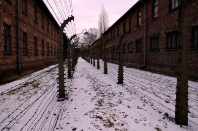 Auschwitz Birkenau Memorial and Museum group tour from Krakow - Your guide and audio setup: hearing every word without the stress