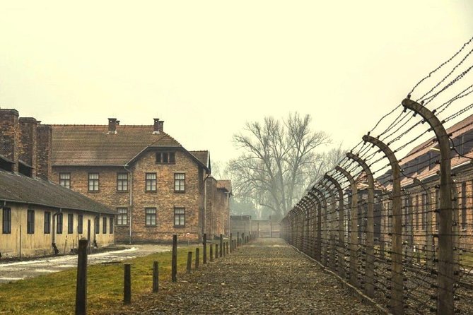 Auschwitz Birkenau Memorial and Museum group tour from Krakow - Who should book this Auschwitz-Birkenau group tour
