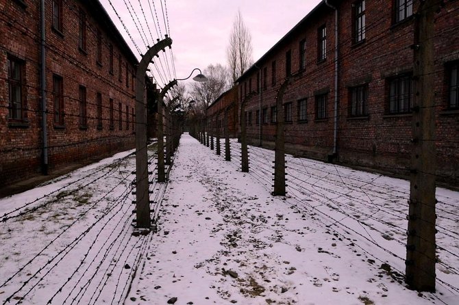 Auschwitz Birkenau Memorial and Museum group tour from Krakow - Your guide and audio setup: hearing every word without the stress