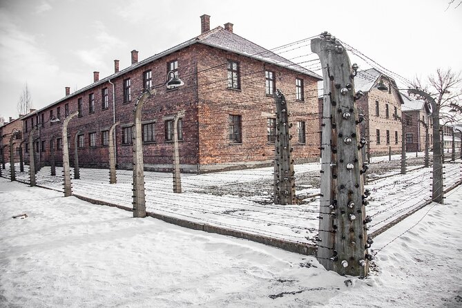 Auschwitz-Birkenau Memorial and Museum Guided Tour from Krakow - What the Guide Should Do for You (and What to Look For)