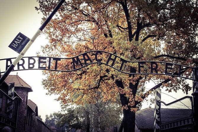 Auschwitz-Birkenau Memorial Entrance Ticket and Guided Tour - The rhythm of your day: timing and what “4 to 8 hours” really means