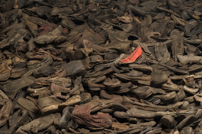 Auschwitz-Birkenau Memorial Entrance Ticket and Guided Tour - Price and value: what your $36 includes