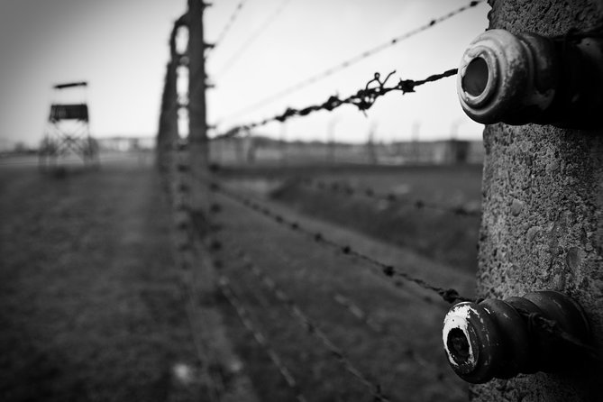 Auschwitz-Birkenau Memorial Entrance Ticket and Guided Tour - Auschwitz I details you won’t get from postcards