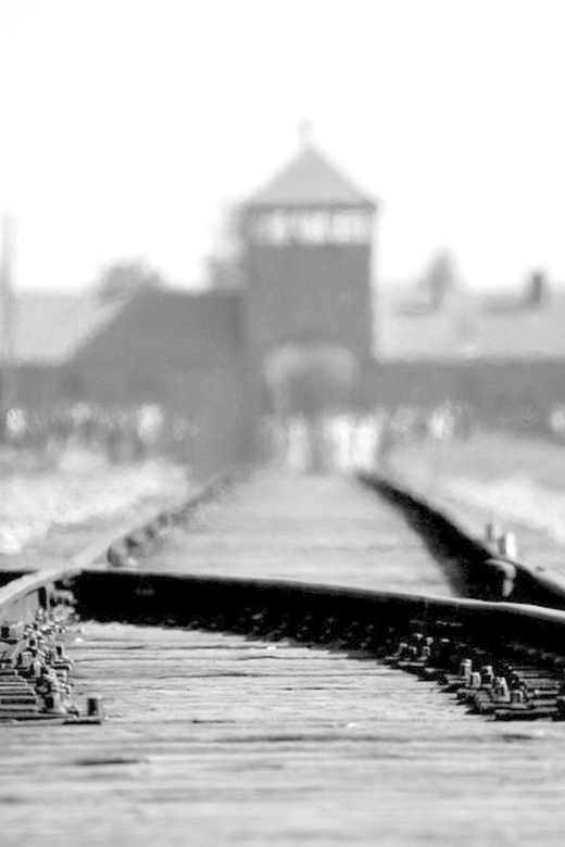 Auschwitz-Birkenau: Memorial Entry Ticket and Guided Tour - Key things worth knowing before you go