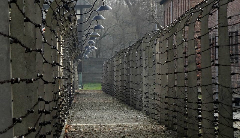 Auschwitz-Birkenau: Memorial Entry Ticket and Guided Tour - Who should book this tour (and who may want a different approach)