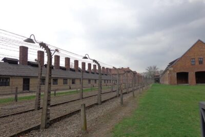 Auschwitz-Birkenau Museum Half-Day Bus Tour from Krakow - Hotel pickup and meeting point: reducing stress on a day like this