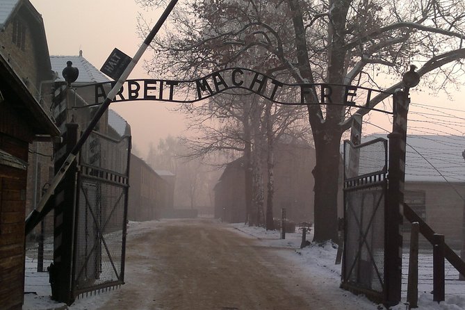 Auschwitz-Birkenau Museum Tour from Krakow - Auschwitz-Birkenau in 7 Hours: What You Really Get