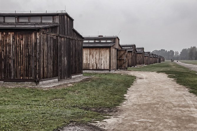 Auschwitz-Birkenau Private Tour from Krakow - Birkenau II: scale, silence, and why pacing matters