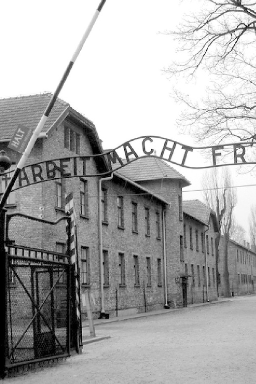 Auschwitz-Birkenau & Salt Mine Tour in One Day from Krakow - Who this one-day Auschwitz and Salt Mine tour suits best