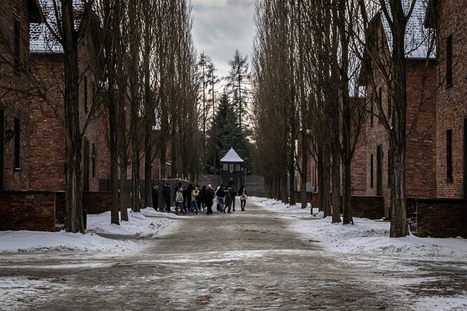Auschwitz Birkenau Tour from Krakow: Private Transfer + Ticket - Door-to-door transport from Krakow: the real time-saver