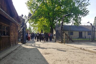 Auschwitz - Birkenau Tour with Private Transport from Krakow - The Auschwitz-Birkenau day plan in plain language