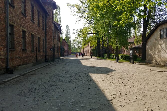 Auschwitz Birkenau Tour with Private Transport from Kraków - When This Private Day Trip Works Best
