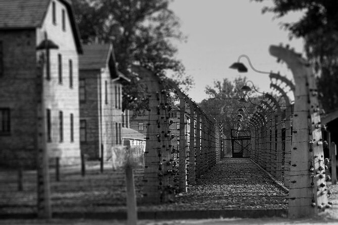 Auschwitz Birkenau Transfer and Guide with Salt Mine Combo Option - Stop 2: Birkenau’s scale and the emotional workload