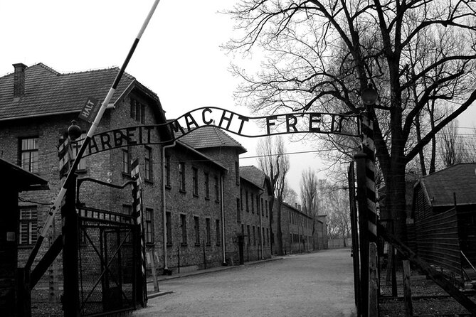 Auschwitz Birkenau Transfer and Guide with Salt Mine Combo Option - Lunch break at Matejko Square: plan simple and practical