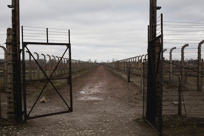 Auschwitz-Birkenau & Wieliczka in one day (Guided tour) - Who this tour is best for (and who should skip it)