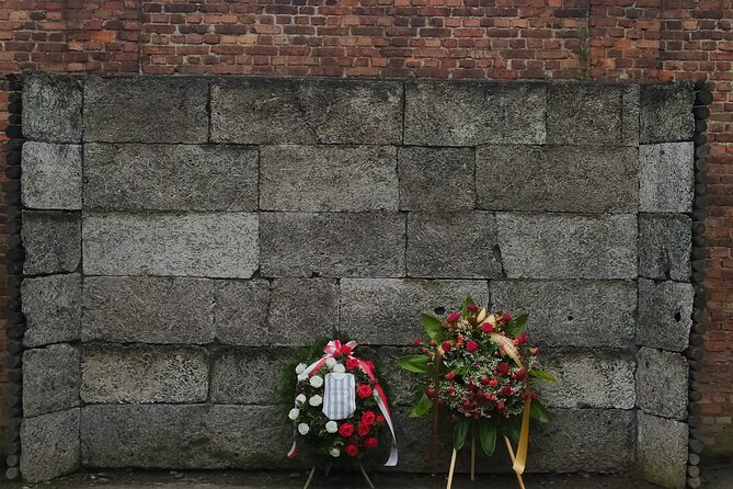 Auschwitz Museum and Salt Mine Tour with Private Transport - Big steps later: how to get through Birkenau with less stress