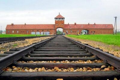 Auschwitz Trip From Krakow - English Speaking Guided Tour - How the early minibus timing and included entry help