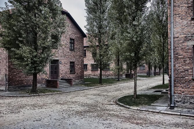 Combined tour Auschwitz Birkenau guided & Salt Mine guided from Krakow - Birkenau (Brzezinka): the shorter second camp stop that still hits hard