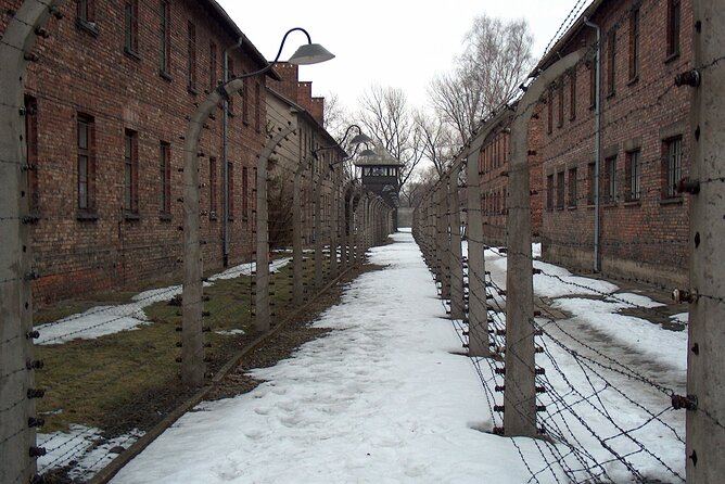 Exclusive Small Group Auschwitz-Birkenau Guided Tour from Krakow - Auschwitz II-Birkenau: Ramps, Watchtowers, and the Memorial’s Hard Edges
