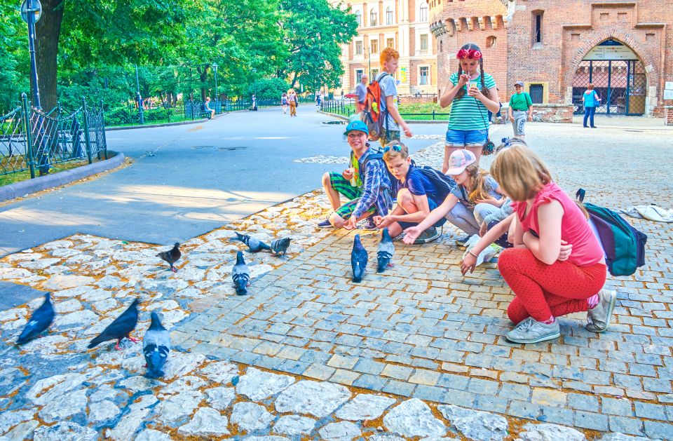 Family Tour of Krakow Old Town with Sweets Factory & Cruise - Key things to know before you go