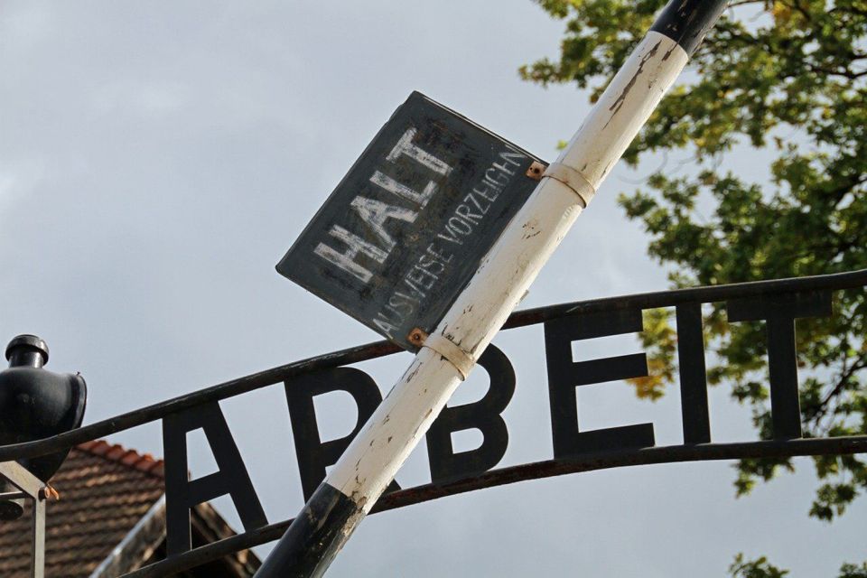 From Krakow: Auschwitz Birkenau and Salt Mine Guided Tour - Who this tour suits best (and who should skip it)