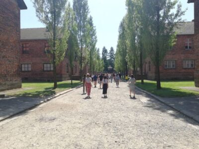 From Krakow: Auschwitz-Birkenau and Self-Guided Day Tour - Pickup Points and Bus Timing Without the Headaches